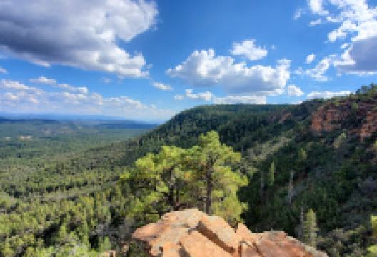 Bearfoot Trailhead景点图片