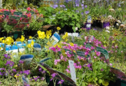 Seacoast Nurseries购物图片