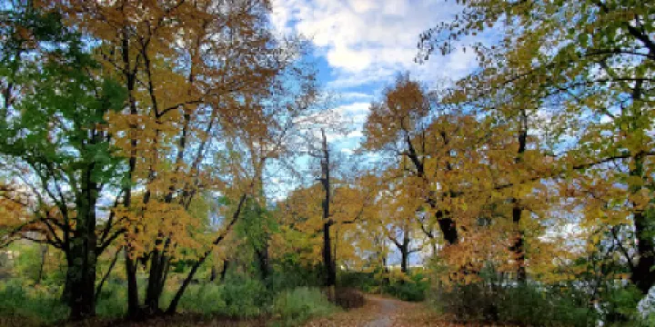 Eagle Lake Regional Park & Golf