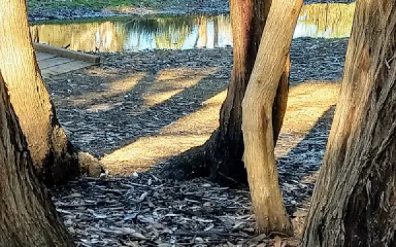 Ocean Grove Nature Reserve