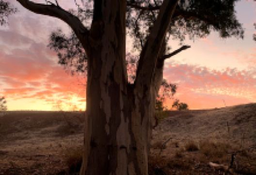 Crystal Brook / Mercowie景点图片