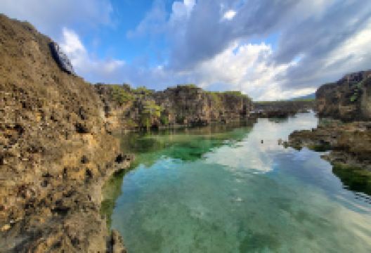 Turtle Bay Cove景点图片