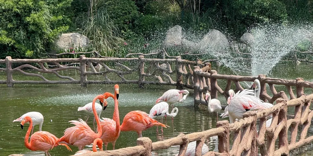 永安旅遊