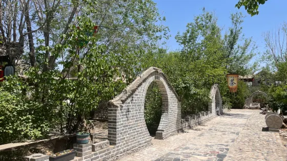 同心縣風情園