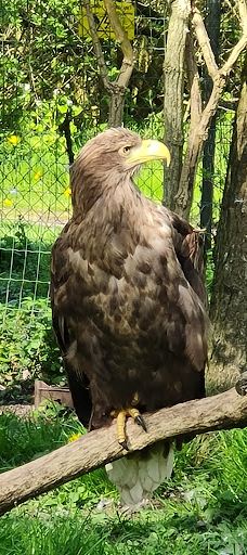 Vogelpark Niendorf-蒂门多尔费尔斯特兰德