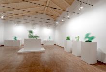 Museo Javier Gómez景点图片