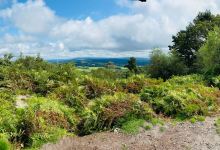 National Trust - Hindhead Commons and the Devil's Punch Bowl Cafe景点图片
