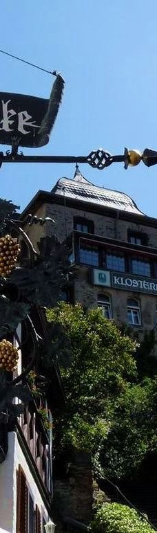 Metternich Castle-拜尔施泰因