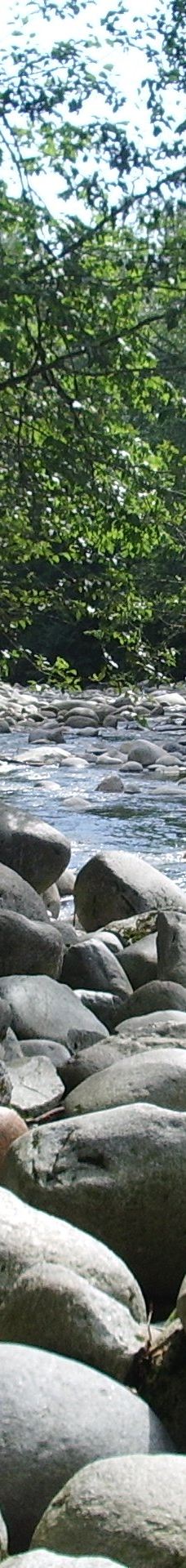 林恩峡谷公园-北温哥华