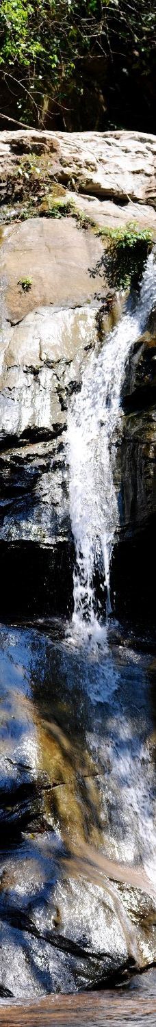 Amboro National Park-圣克鲁斯