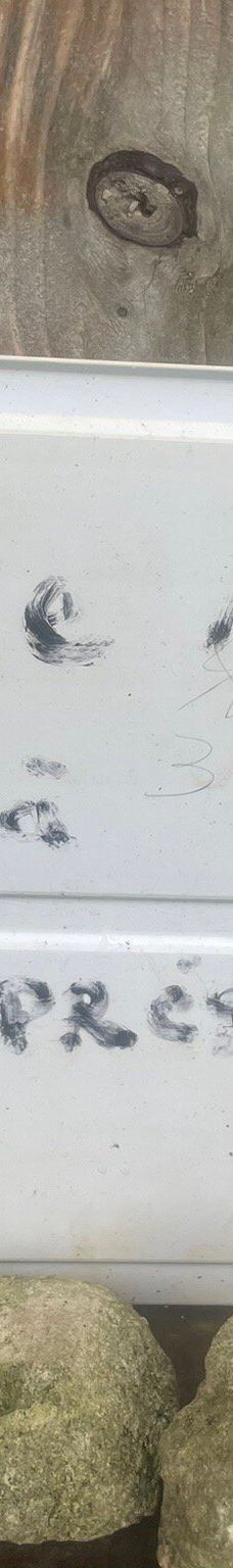 Grotte de Hortense-松树岛