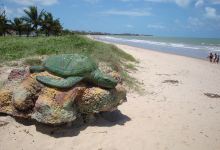 Intermares Beach景点图片