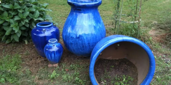 Back O' the Moon Gardens