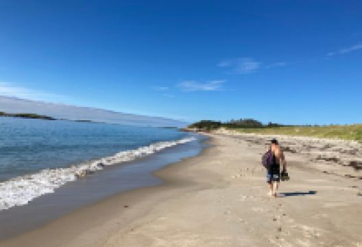 Sandbanks Provincial Park景点图片