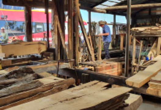 Morrisons Huon Pine Sawmill景点图片