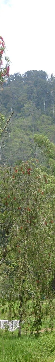 Arboretum Sumber Brantas-Bumiaji