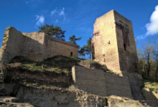 Burgruine Lobdeburg景点图片