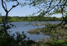 Bell's Neck Conservation Lands景点图片