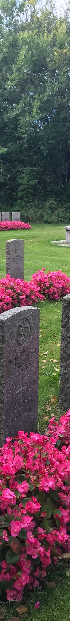Fredrikstad Military Cemetery-腓特烈斯塔