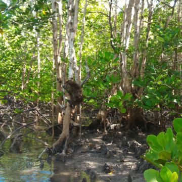 泰国甲米+兰塔岛4日3晚自由行