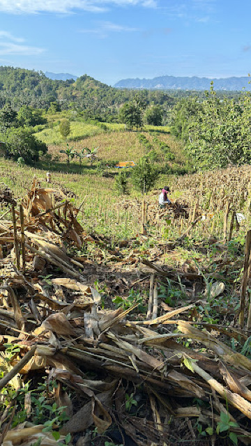 Villa Bukit Halundeko