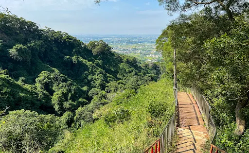 田中森林公園登山步道