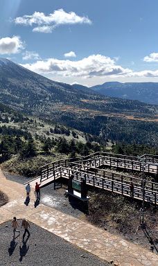 八甲田连峰树冰-青森