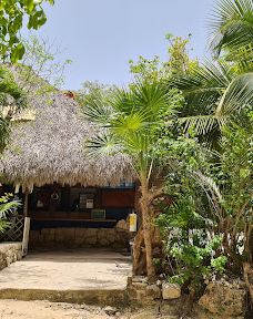 Cenote Azul-索里达瑞达德