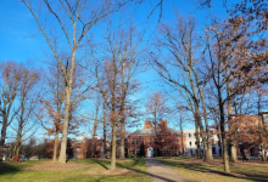 The Oak Grove景点图片