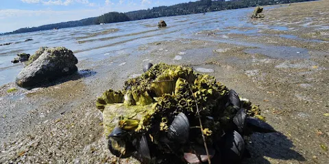 Porpoise Bay Provincial Park