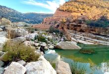 Surf Therapy Morocco购物图片