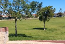 Foundation Park Playground景点图片
