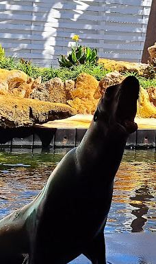 Theater of the Sea-伊斯拉莫拉达