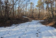 Rocky Point State Pine Barrens Preserve景点图片