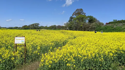 榎本牧場