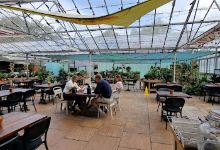 Toad Hall Garden Centre购物图片