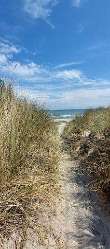 Lyngså Strand-赛比