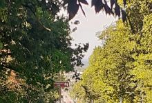 Woodcock Hill景点图片