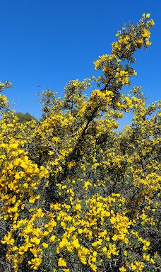 Poros Beach-Kiani Akti