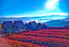 Mya Sandi Public Park景点图片