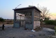 Jai Pasa Dada(CHAVDA PARIVAR)景点图片