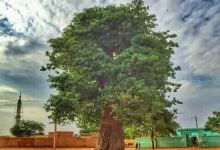 Africa terrain景点图片