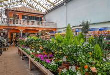 Gartencenter Meckelburg购物图片