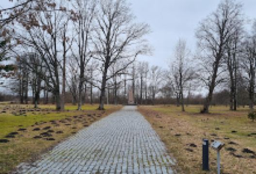 Konstantin Pätsi monument景点图片