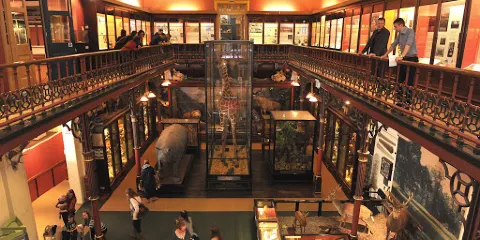 伊普斯維奇博物館