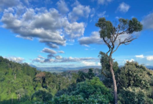 The Rock ViewPoint景点图片