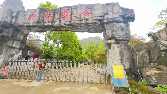 石頭開花