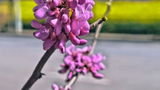 賈紀山公園