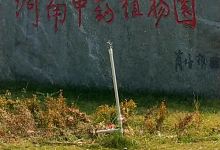 河南中药植物园景点图片