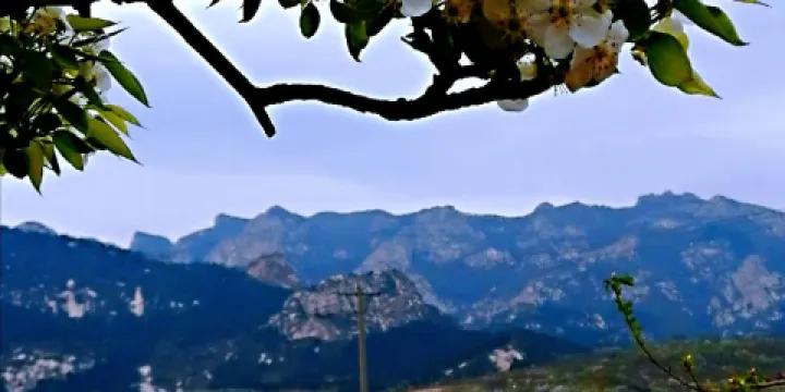 將軍拜母峯景區